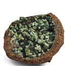 Vivianite and Ludlamite - Specimen