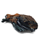 Vivianite - Specimen