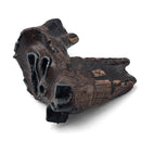 Woolly Rhino Tooth - Fossil Specimen