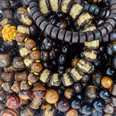 Wood Bead - Bracelet