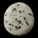 Yooperlite - Mineral