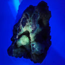 Youngite - Specimen