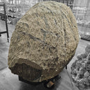 Zeolite Geode (Apophyllite & Stilbite) - Rolling Stand - Statement Specimen