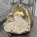 Zeolite Geode (Apophyllite & Stilbite) - Rolling Stand - Statement Specimen