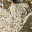 Zeolite Geode (Apophyllite & Stilbite) - Rolling Stand - Statement Specimen