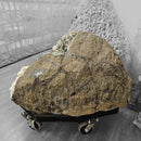 Zeolite Geode (Apophyllite & Stilbite) - Rolling Stand - Statement Specimen