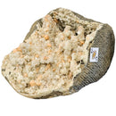 Zeolite (Apophyllite & Stilbite) Geode - Statement Specimen