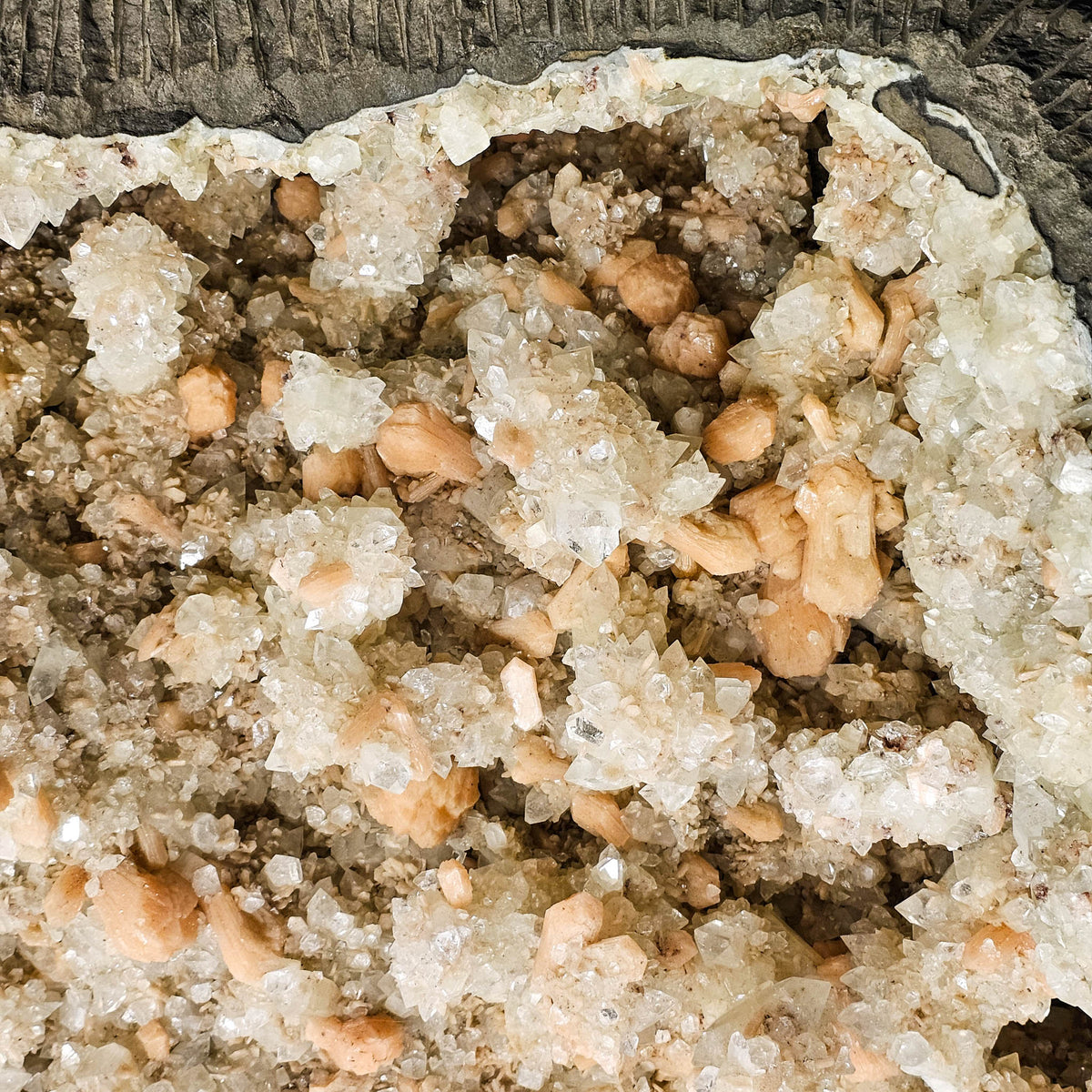 Apophyllite & Stilbite Geode - Statement Specimen