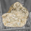 Zeolite (Apophyllite & Stilbite) Geode - Statement Specimen