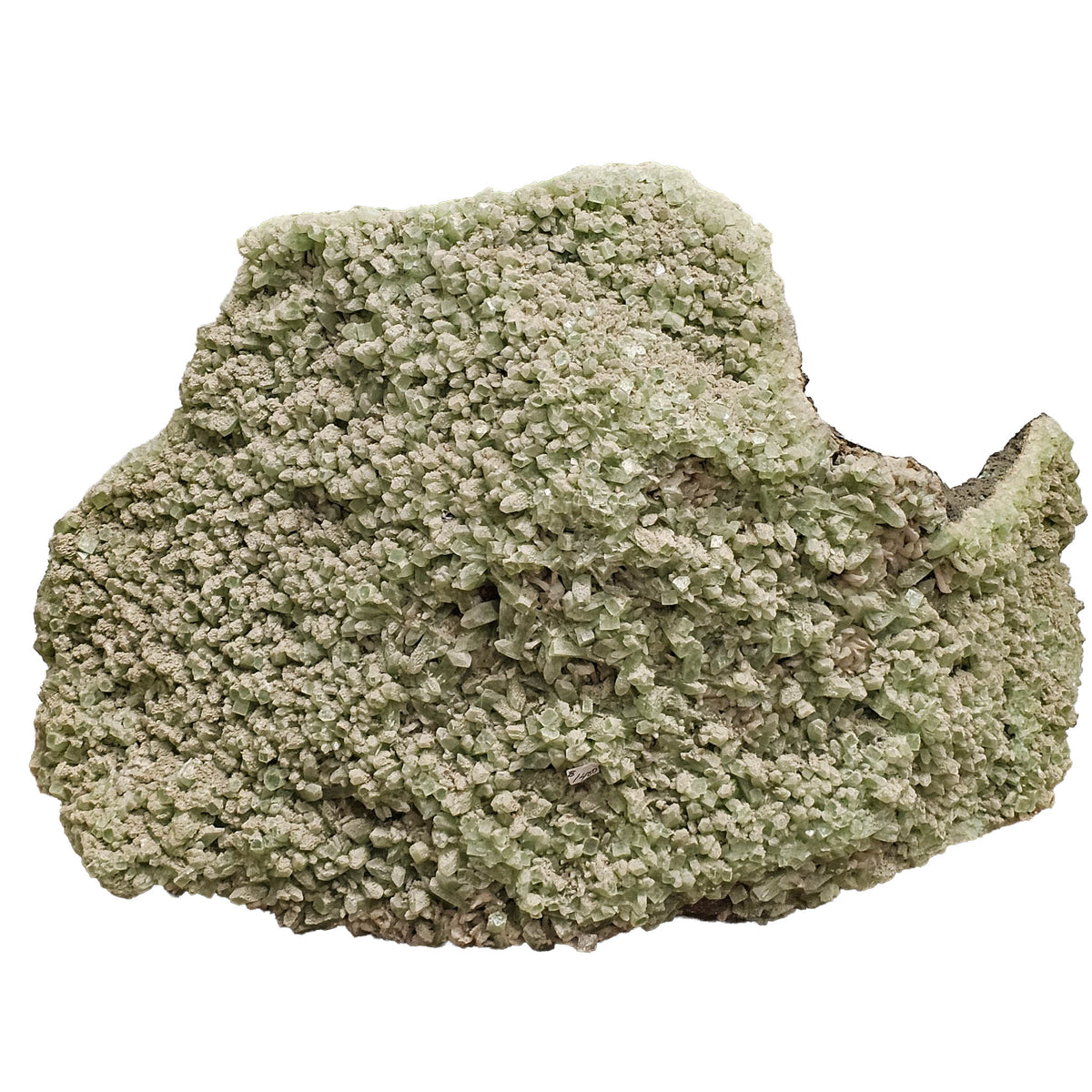 Green apophyllite crystal plate from Maharashtra, India – front view on a white background