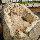 Zeolite (Apophyllite & Stilbite) Geode - Statement Specimen