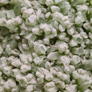 Zeolite (Green Apophyllite & Stilbite) Geode - Statement Specimen