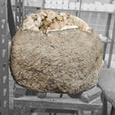 Zeolite (Apophyllite & Stilbite) Geode - Statement Specimen
