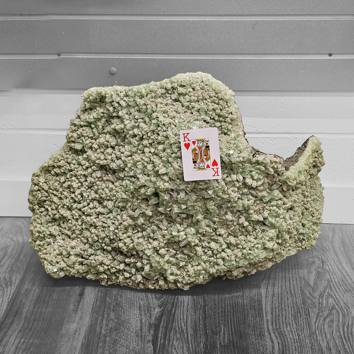 Green apophyllite crystal plate from Maharashtra, India – with a playing card for scale on the shop floor