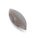 Grey Fortification Agate faceted marquise gemstone, 9.40ct, from BC, Canada, view 1 of 10