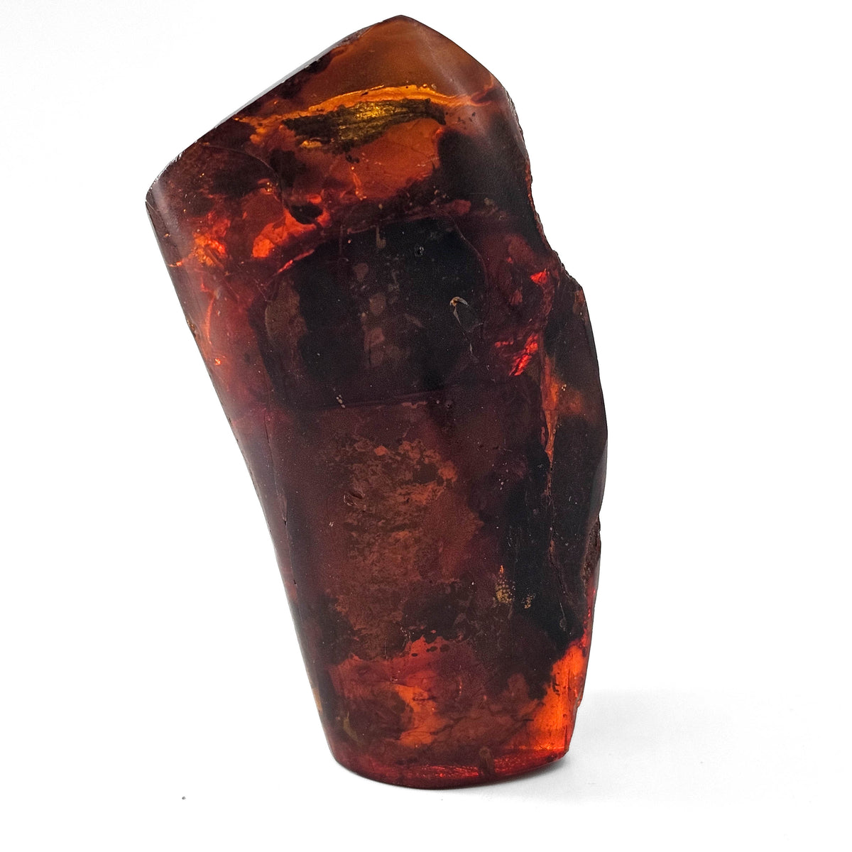 Polished Amber fossil specimen.