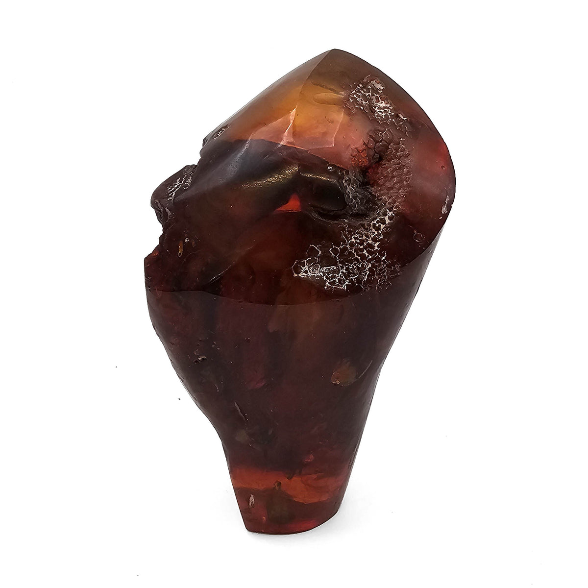Polished Amber fossil specimen.