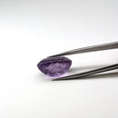Amethyst faceted oval fantasy cut gemstone held in tweezers, 19.23ct, from Marabá, Pará, Brazil, view 15 of 15