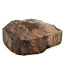 Dinosaur Bone Fragment - Fossil Specimen