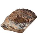 Dinosaur Bone Fragment - Fossil Specimen
