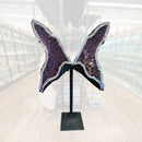 Amethyst - Butterfly Geode on Stand - Statement Specimen
