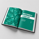 Beyond Cabbing: A Lapidary Handbook - PRE-ORDER (will ship Nov. 20th, 2026) - FREE SHIPPING