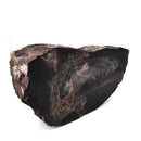 Dinosaur Bone Cross-Section - Fossil Specimen