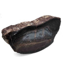 Dinosaur Bone Cross-Section - Fossil Specimen