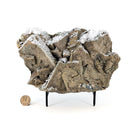 Fluorite w Pyrite & Aragonite - One of a Kind - Statement