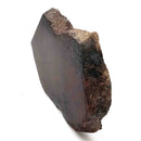 Dinosaur Bone Slab - Fossil Specimen