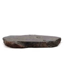 Dinosaur Bone Slab - Fossil Specimen