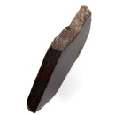 Dinosaur Bone Slab - Fossil Specimen