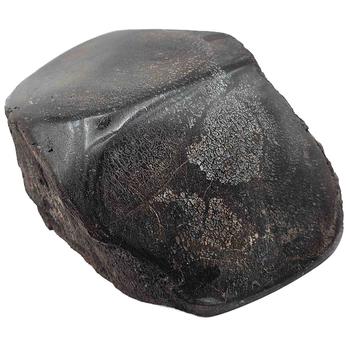 Dinosaur Bone Fragment fossil specimen from Morrison Formation, Utah, USA, Late Jurassic.