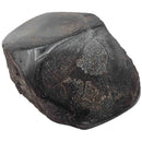 Dinosaur Bone Fragment - Fossil Specimen