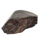 Dinosaur Bone Fragment - Fossil Specimen