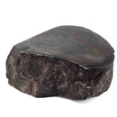 Dinosaur Bone Fragment - Fossil Specimen