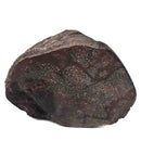 Dinosaur Bone Fragment - Fossil Specimen