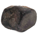 Dinosaur Bone Fragment - Fossil Specimen