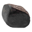 Dinosaur Bone Fragment - Fossil Specimen