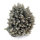 Hedenbergite Quartz - Specimen