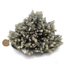 Hedenbergite Quartz - Specimen