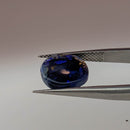 Black opal cabochon freeform gemstone, 2.67ct, from Lightning Ridge, New South Wales, Australia, held in tweezers, view 5 of 5
