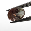 Oregon Sunstone faceted oval cut gemstone, 0.91ct, from Plush, Oregon, held in tweezers, view 2 of 11