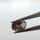 Oregon Sunstone faceted oval cut gemstone, 0.91ct, from Plush, Oregon, held in tweezers, view 3 of 11