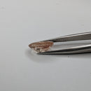 Oregon Sunstone faceted oval fantasy cut gemstone, 2.20ct, from Plush, Oregon, held in tweezers, view 4 of 11