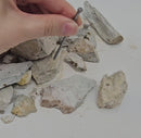 Pyrite Cubes - Gem Dirt (Dig Your Own Crystals) - BC, Canada