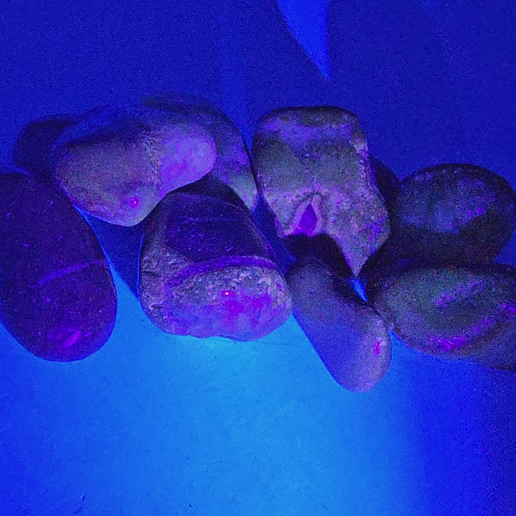 Septarian Stone - Tumble - Madagascar - UV reactive - Root and Solar Plexus Chakra