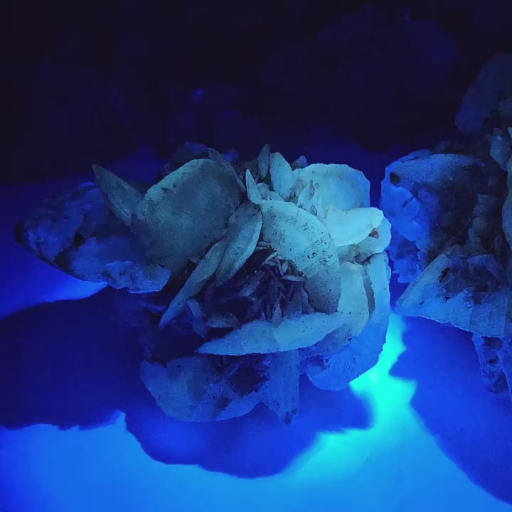 Phosphorescent Selenite - Mineral - Saskatchewan, Canada - UV reactive - Crown Chakra