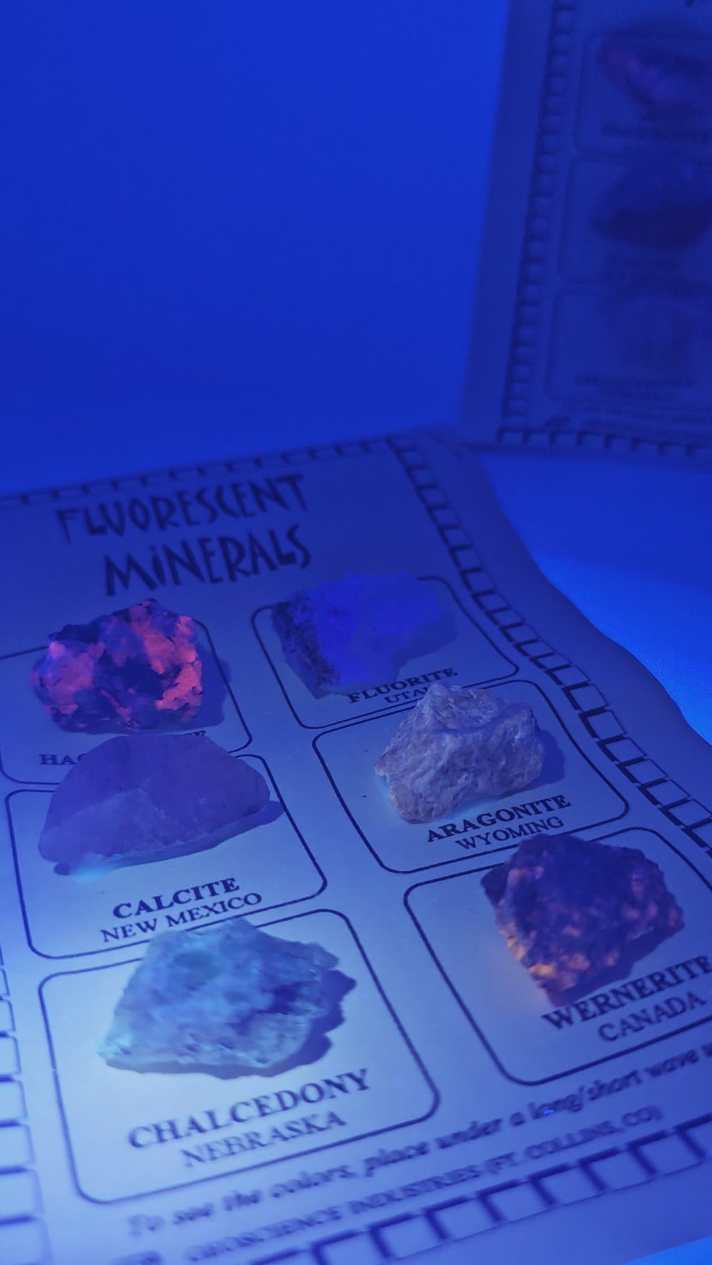 Fluorescent Mineral - Education Set - Global