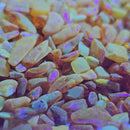 Baltic Amber - Chips - Tumble